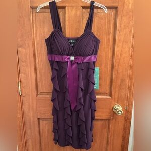 NWT Special Occasion Plum Dress